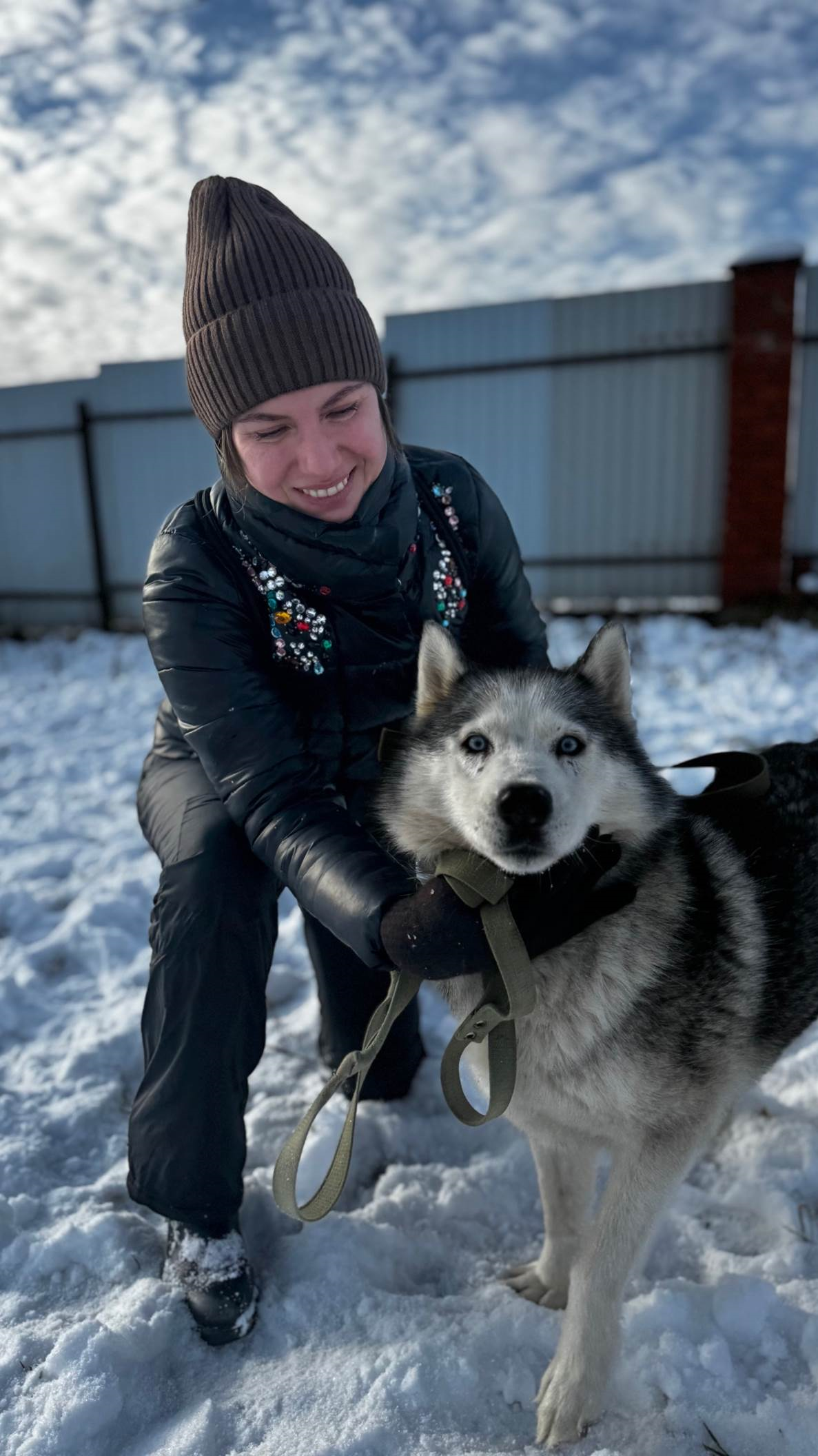 Поездка в приют Husky Help