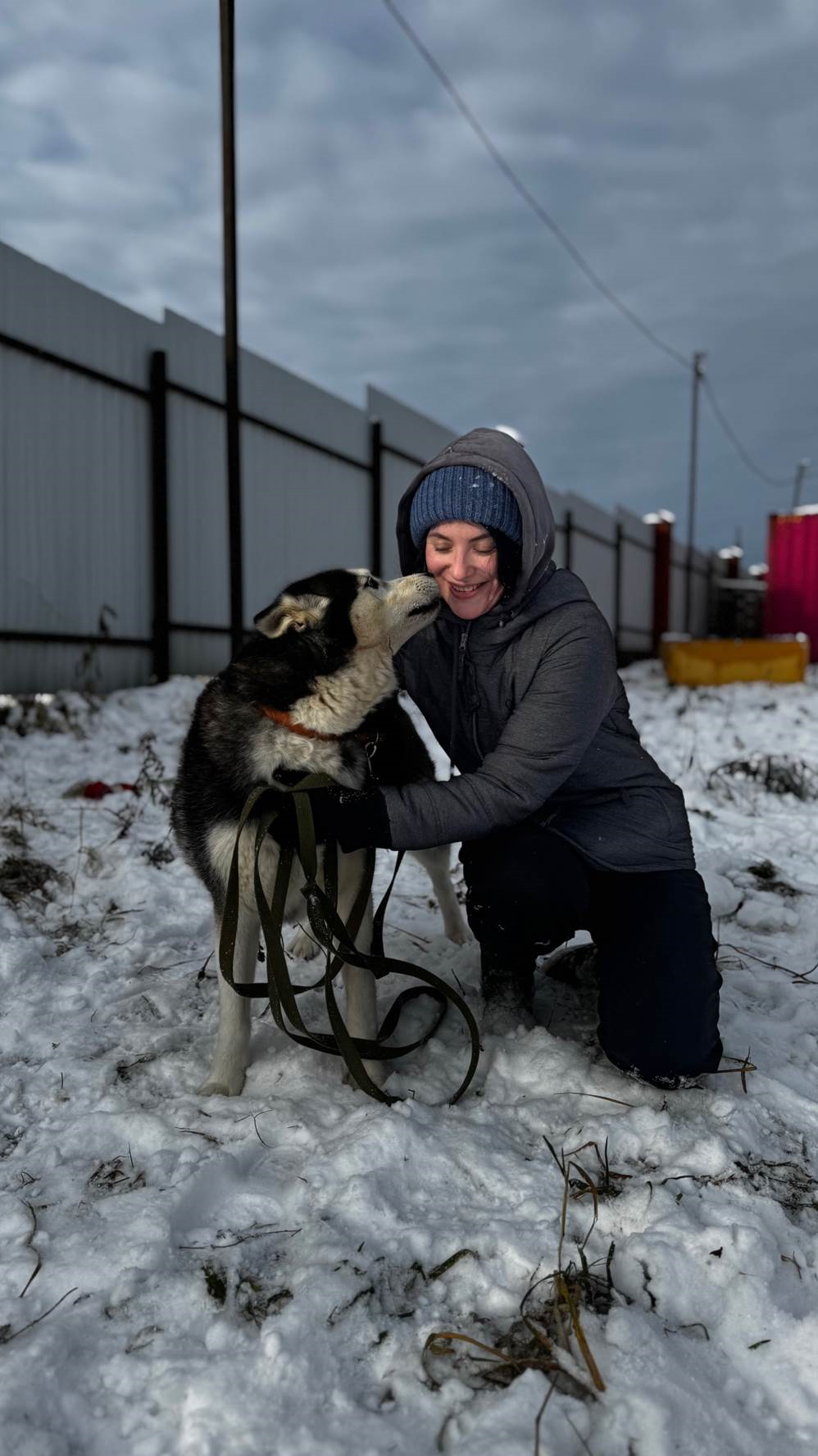 Кадр из приюта Husky Help