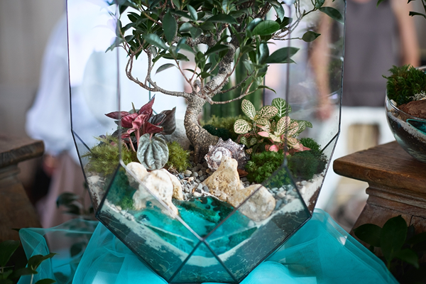 Флорариумы ручной работы