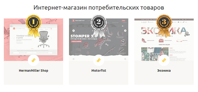 Интернет-магазин «ЭКОНИКИ» - лауреат конкурса «Золотой сайт 2014»